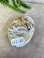 Oceaan jaspis handsteen #34