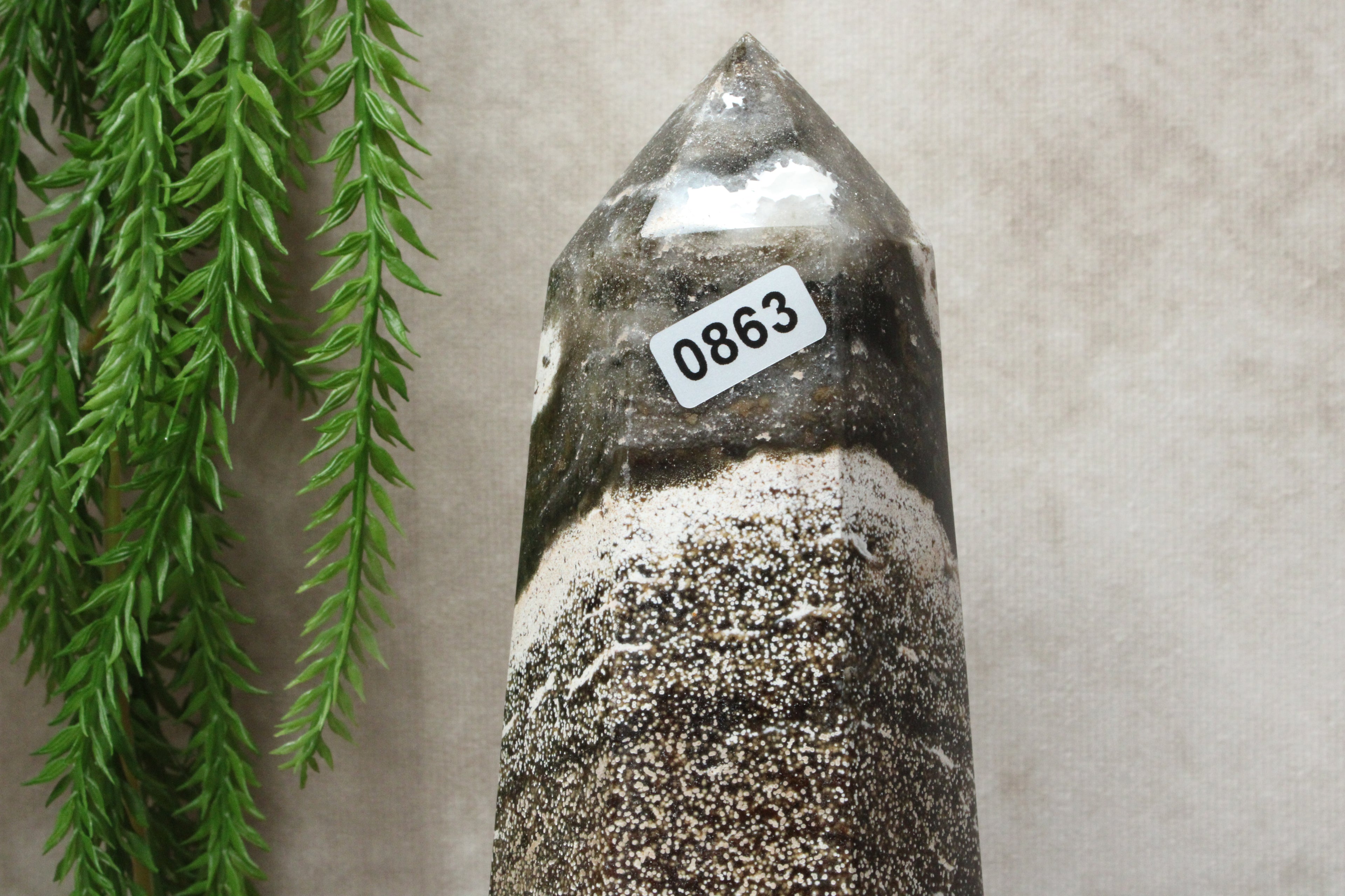 Oceaanjaspis toren #0863