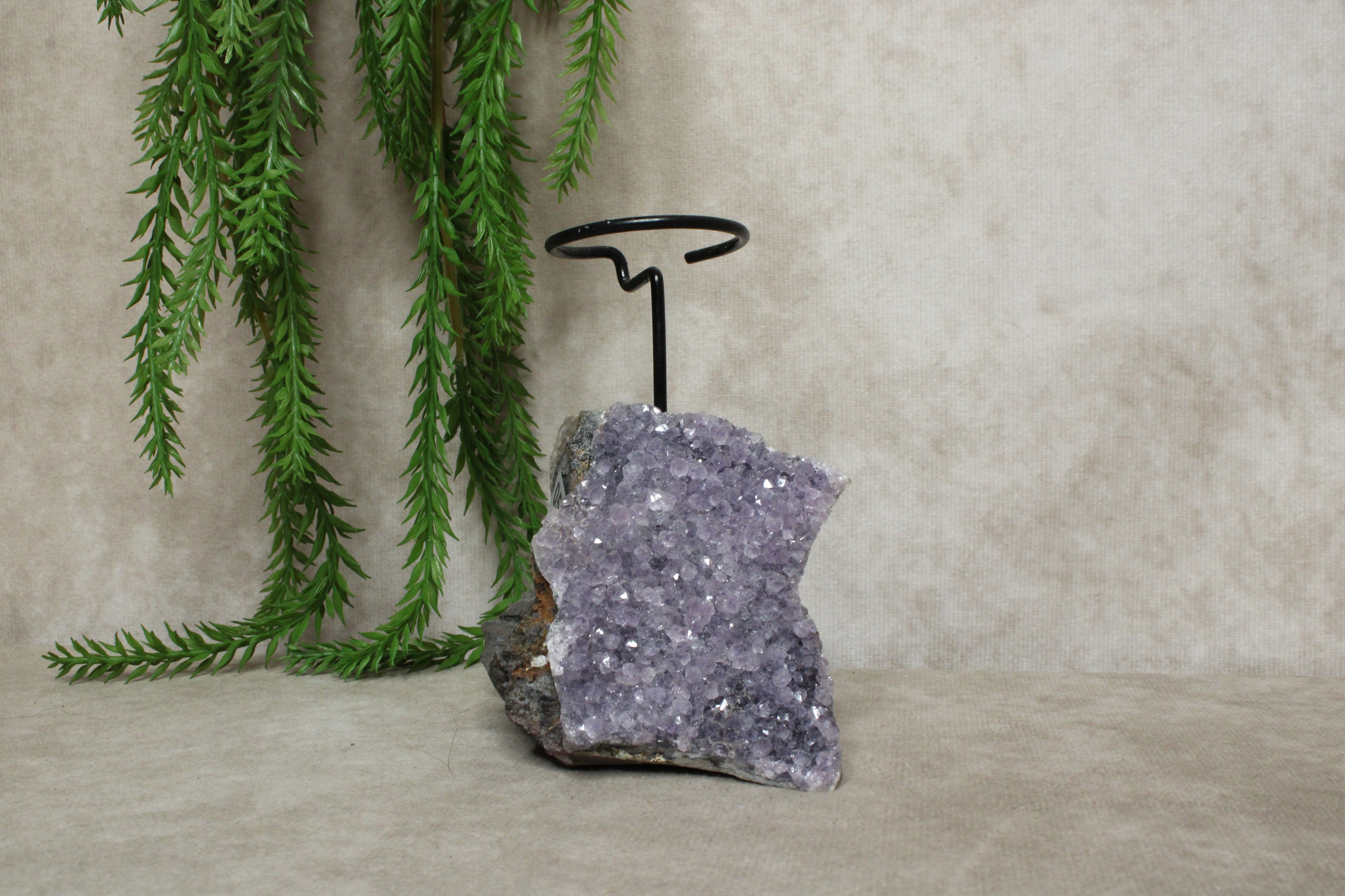 Amethist waxine #0577