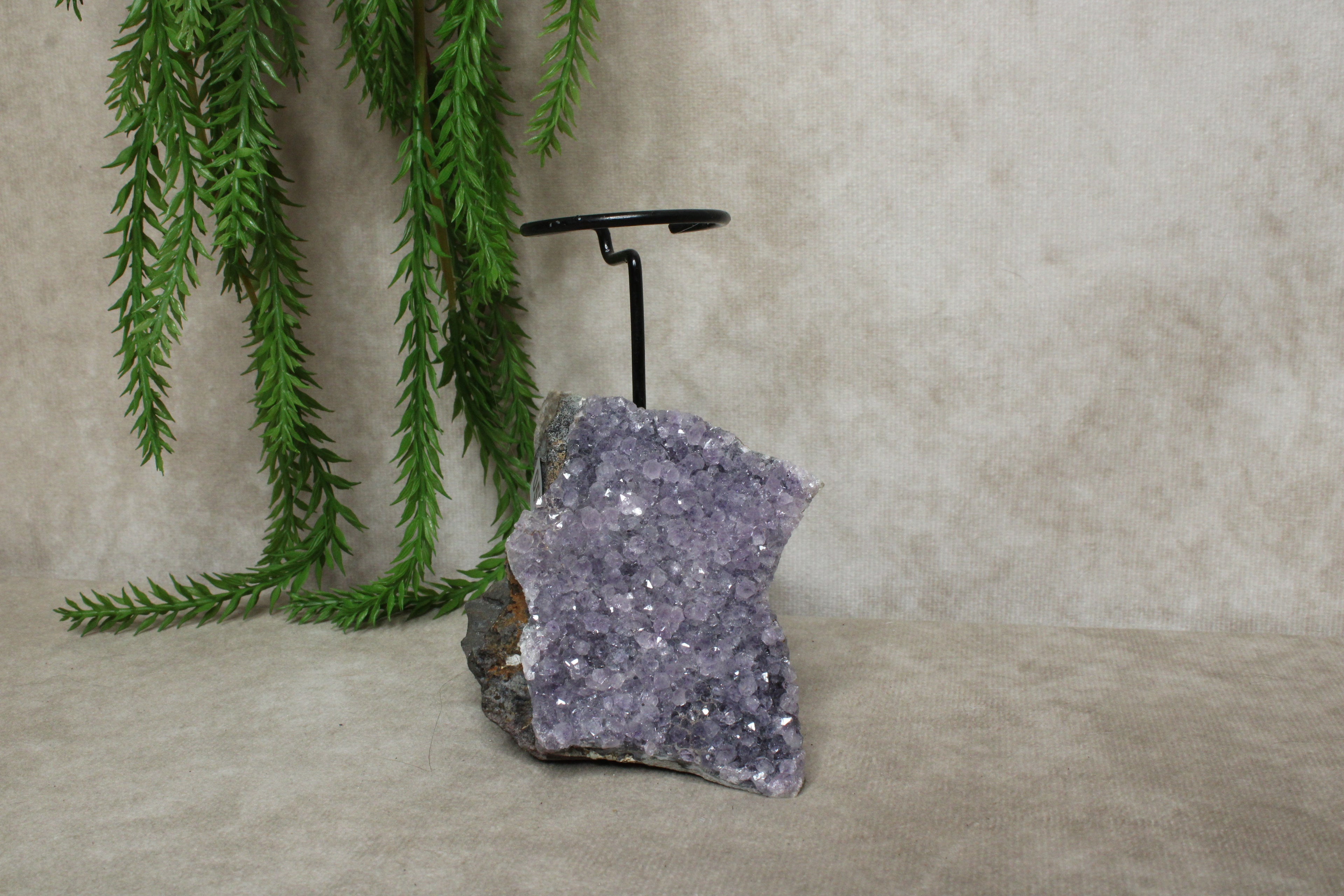 Amethist waxine #0577