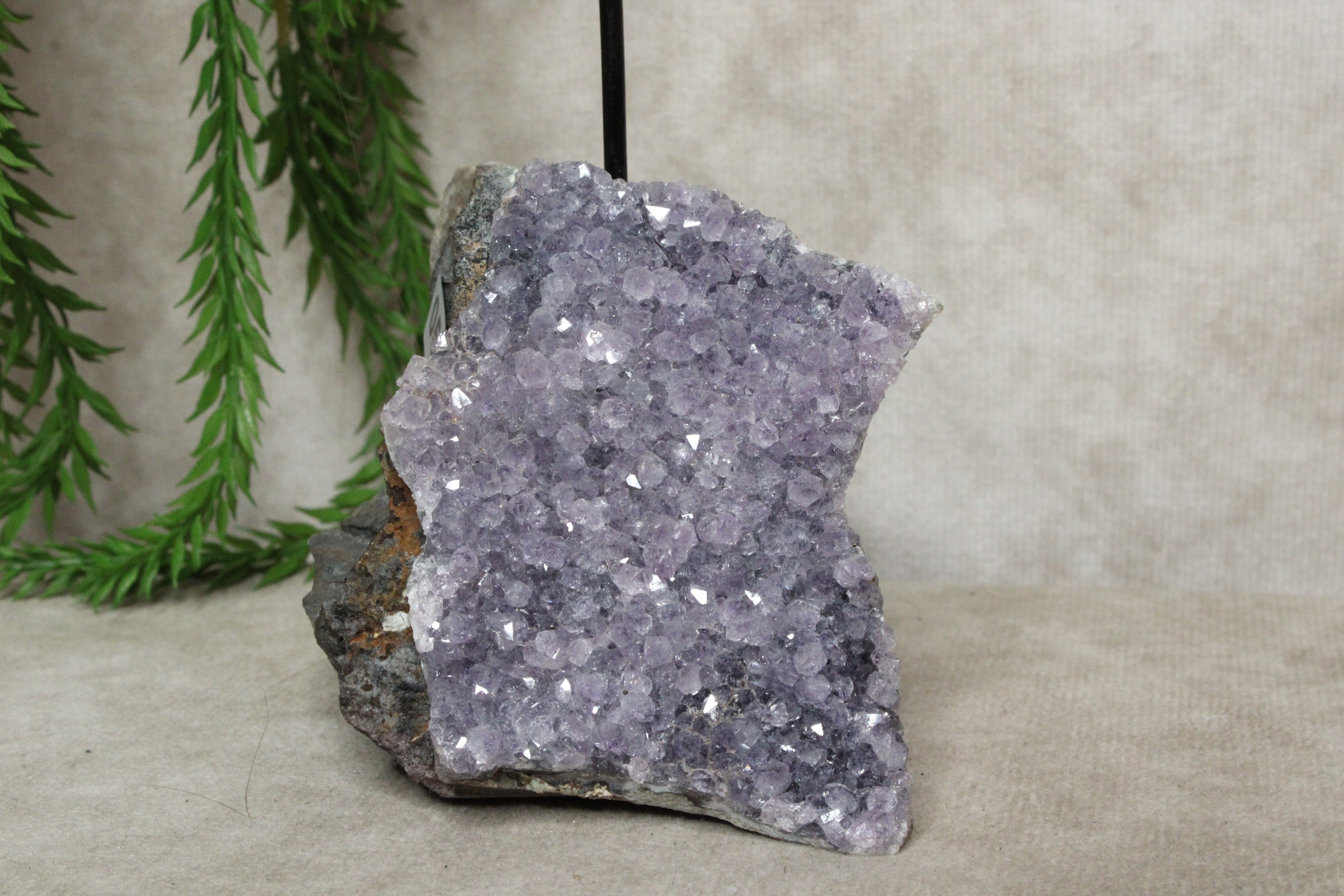 Amethist waxine #0577