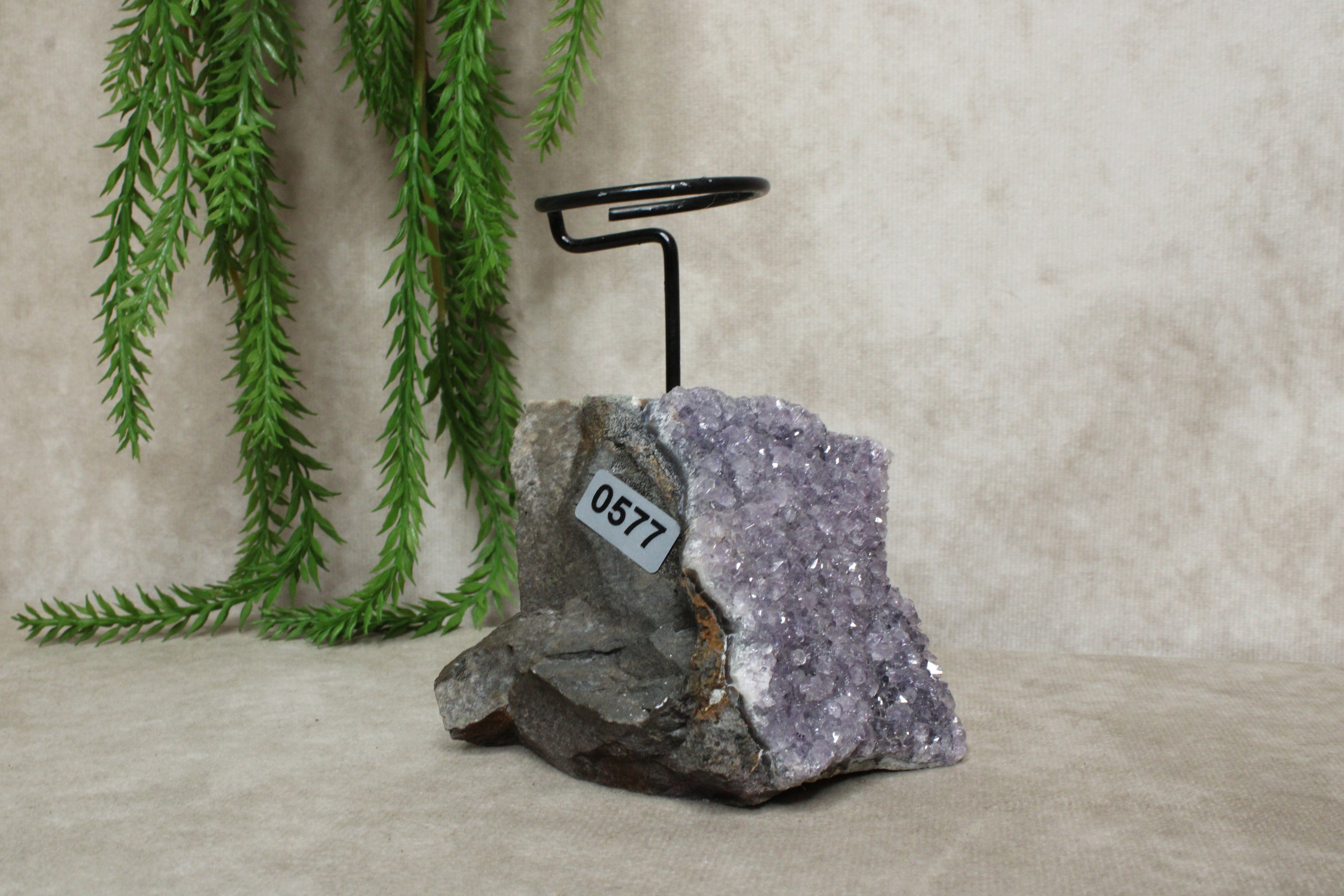 Amethist waxine #0577