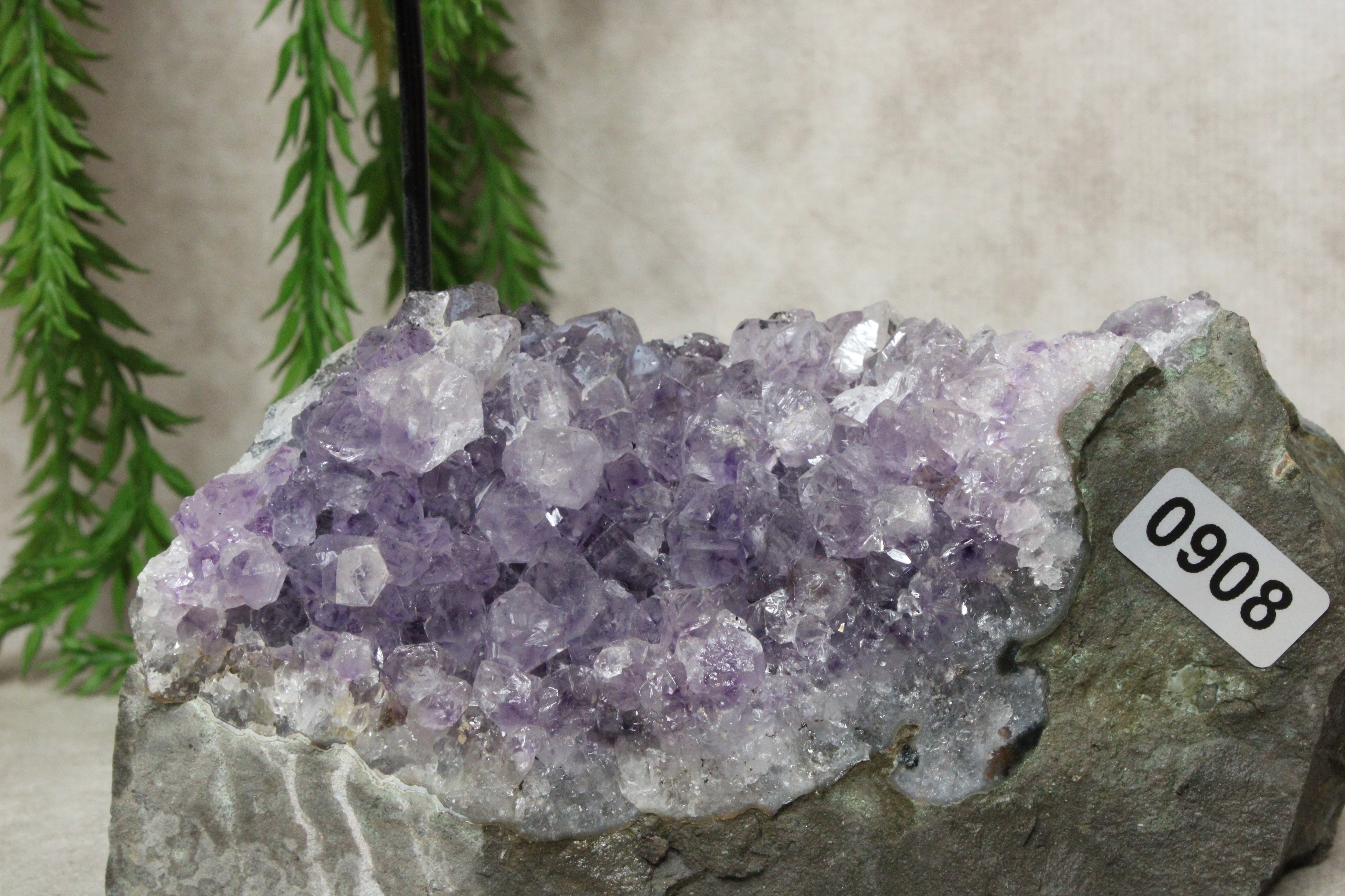 Amethist waxine #0908