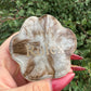 Epoxy honden poot