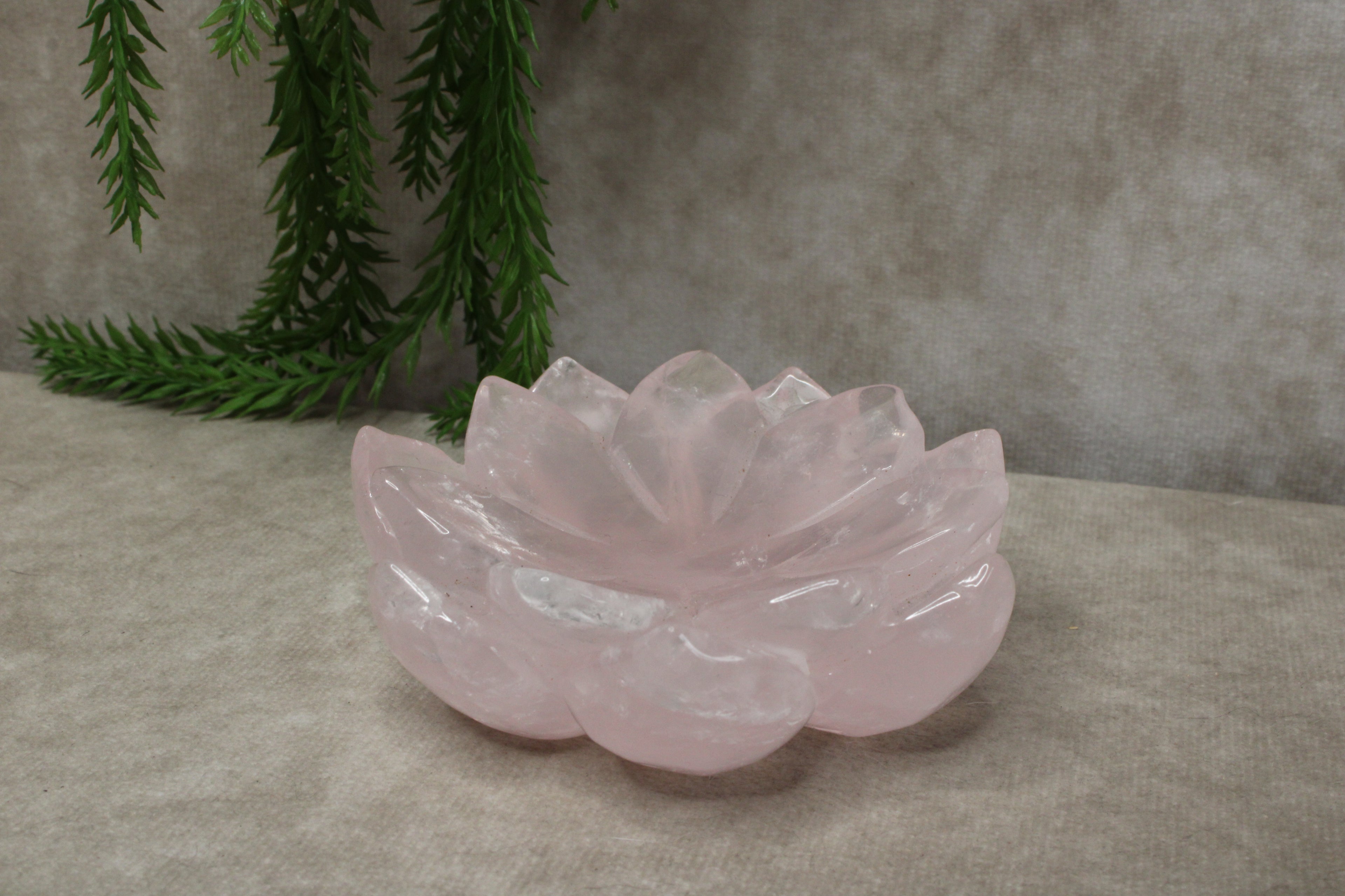 Rozenkwarts lous schaaltje