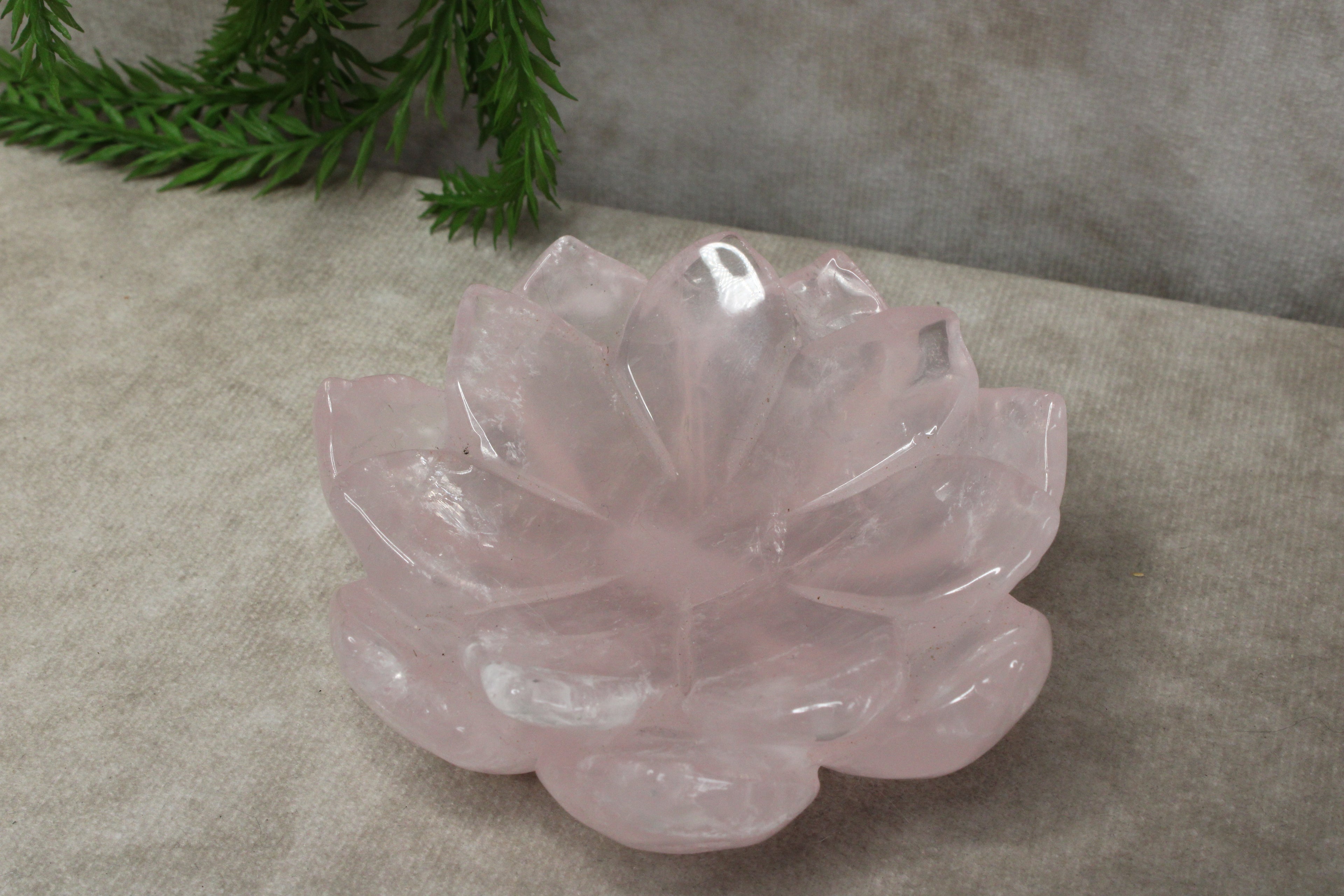 Rozenkwarts lous schaaltje