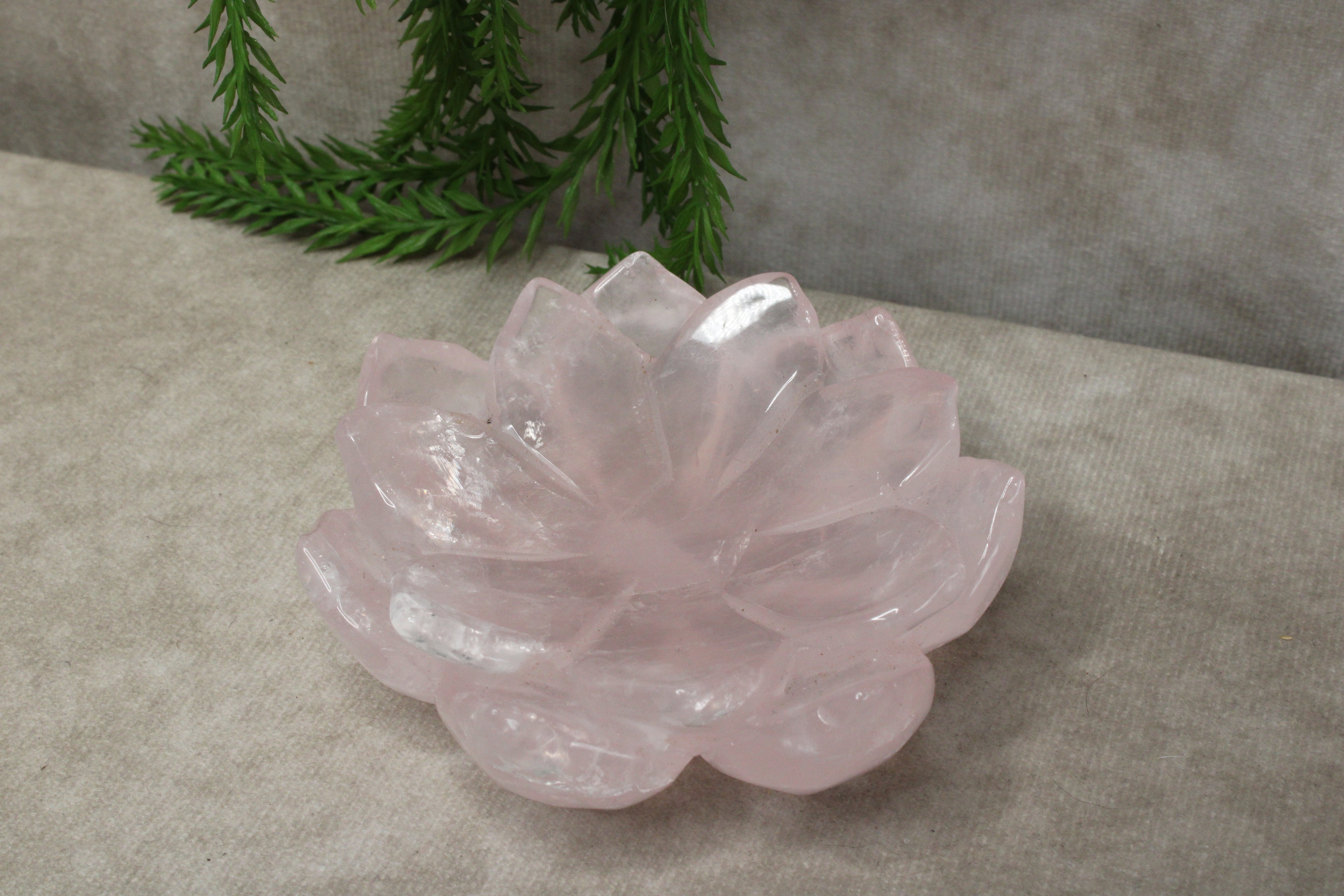 Rozenkwarts lous schaaltje