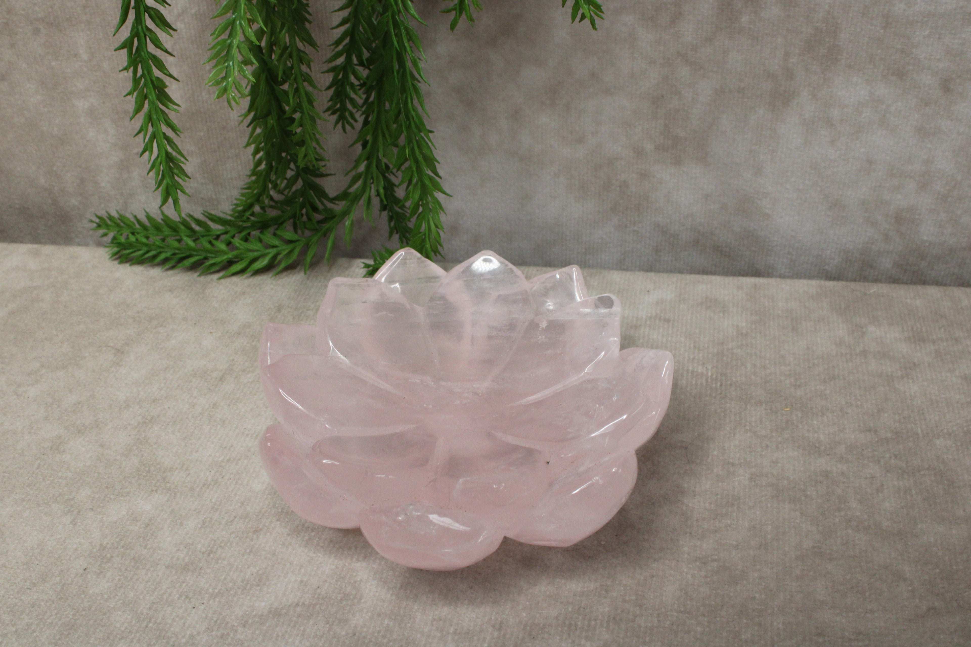 Rozenkwarts lous schaaltje