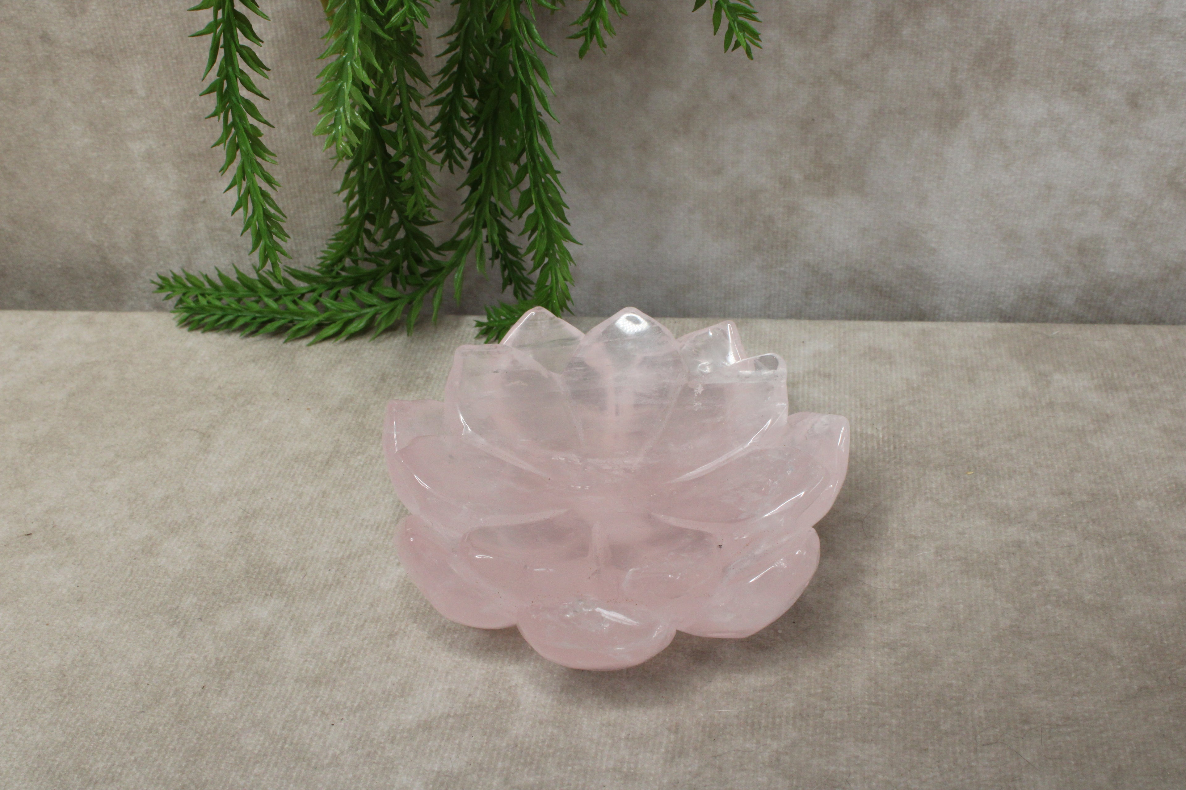 Rozenkwarts lous schaaltje