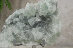 Suiker fluoriet #1757