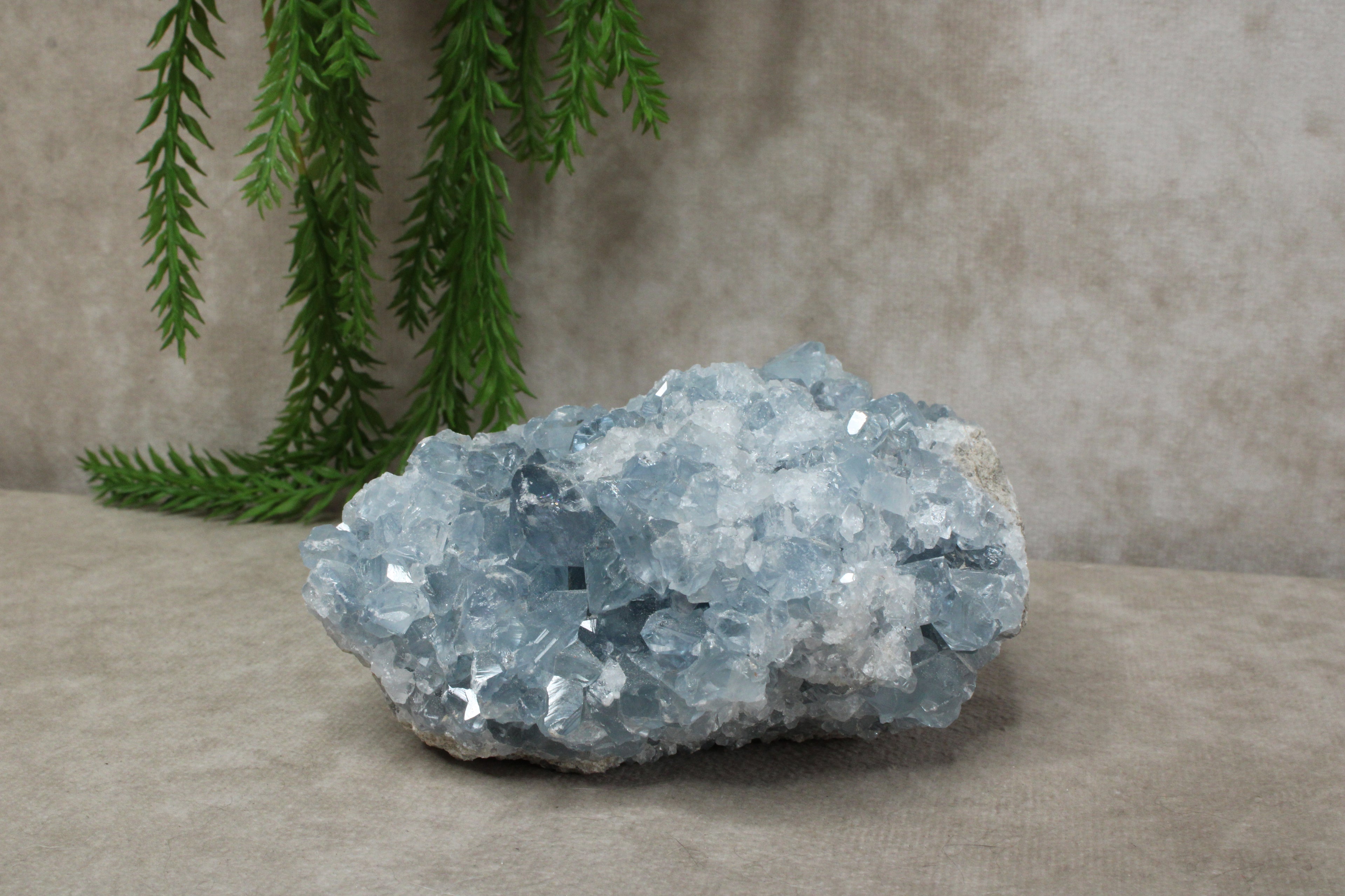 Celestien cluster #52
