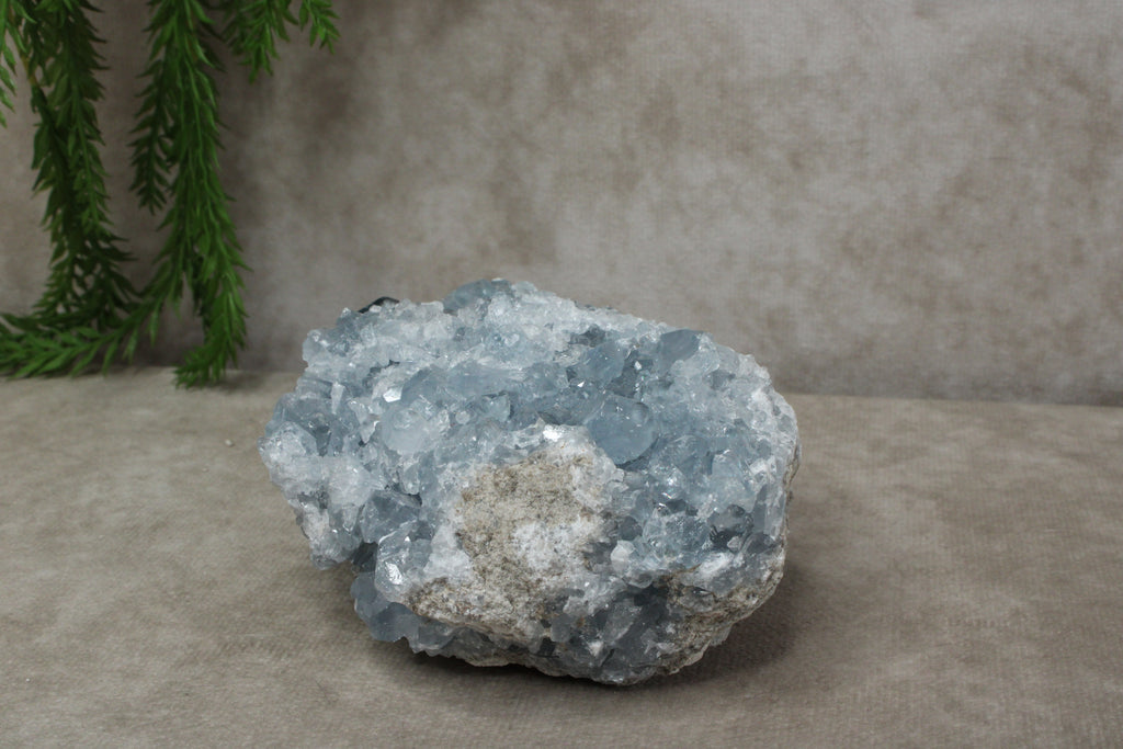 Celestien cluster #52