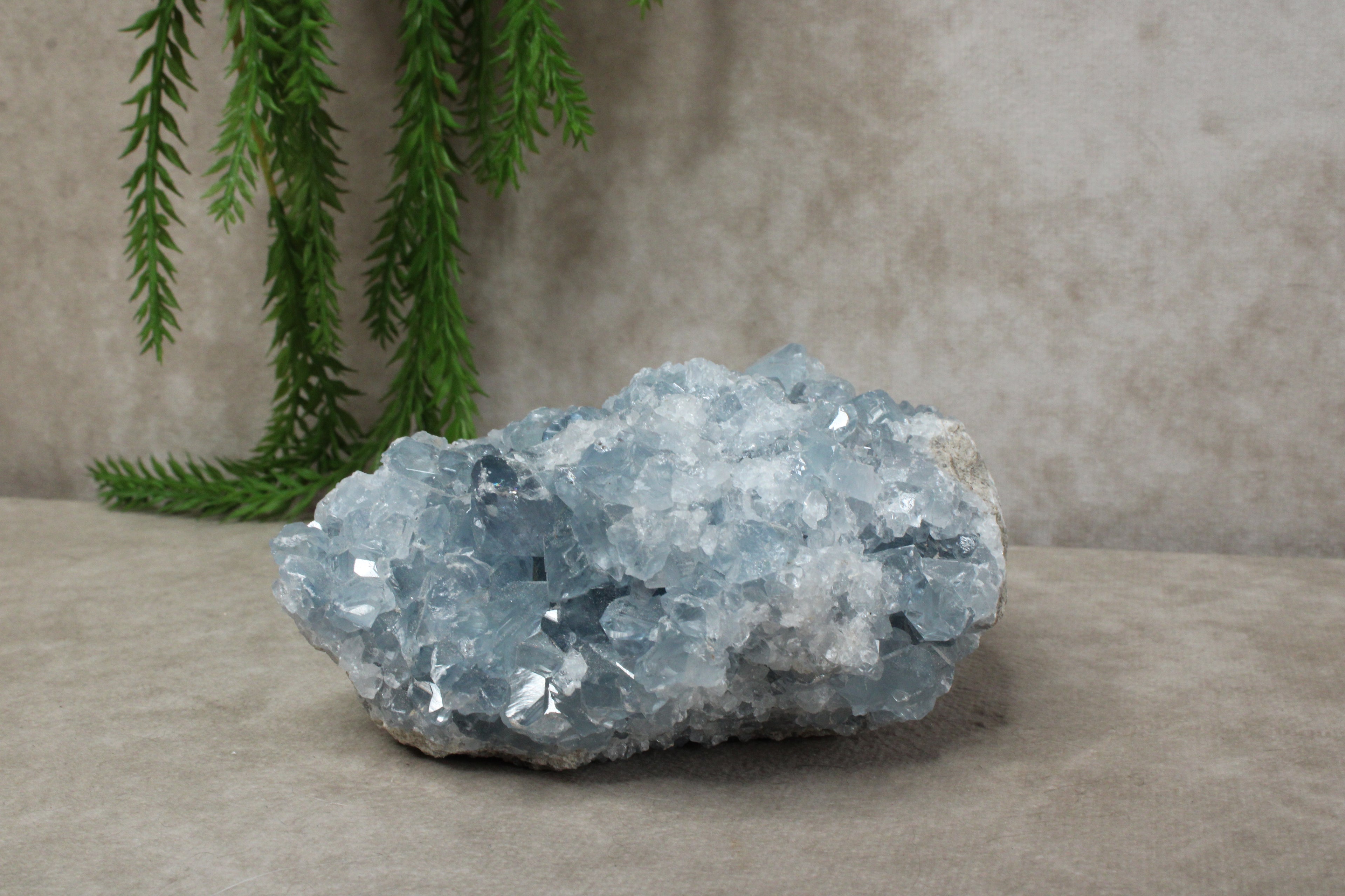 Celestien cluster #52