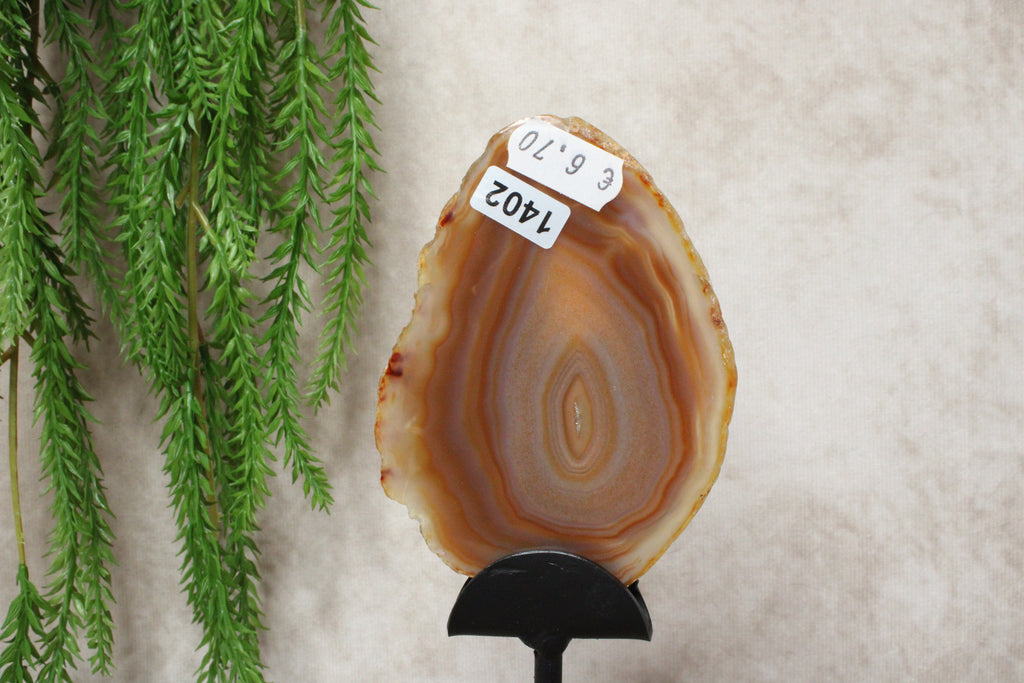 Agaat schijf #1402