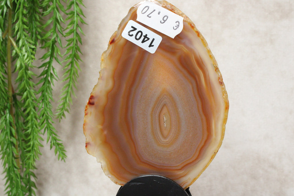 Agaat schijf #1402