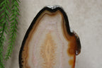 Agaat schijf #1399