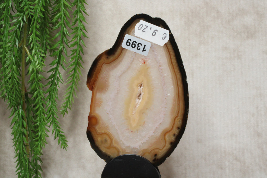 Agaat schijf #1399