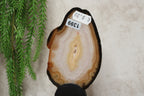 Agaat schijf #1399
