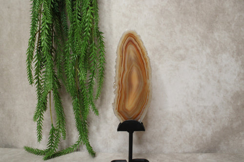 Agaat schijf #1405