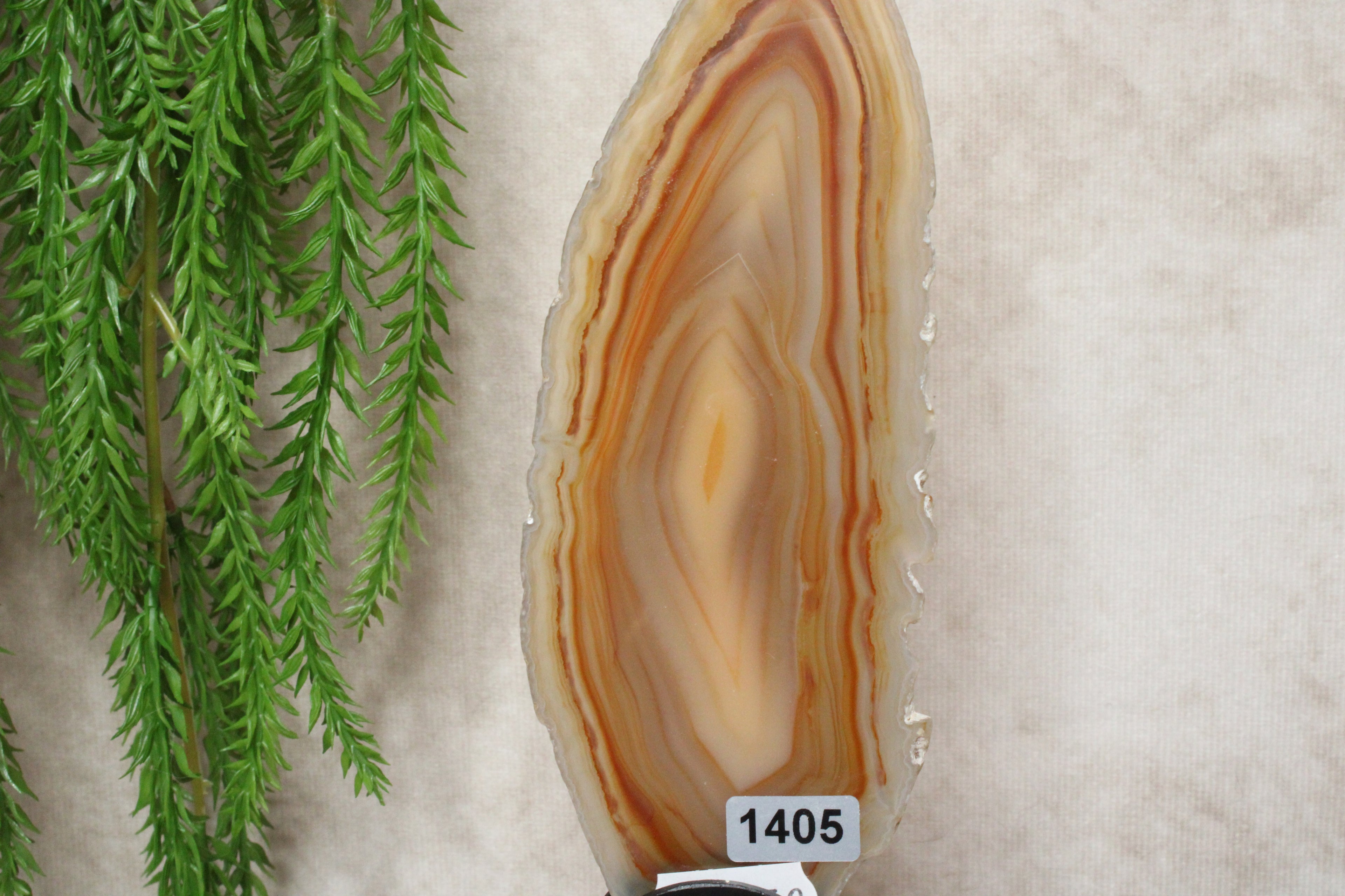 Agaat schijf #1405