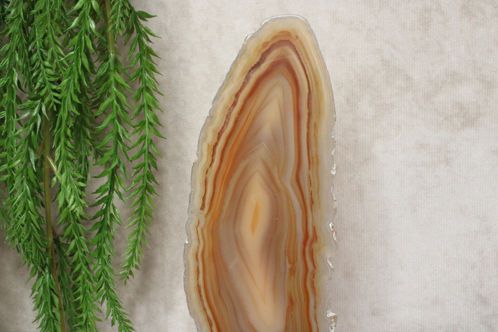 Agaat schijf #1405