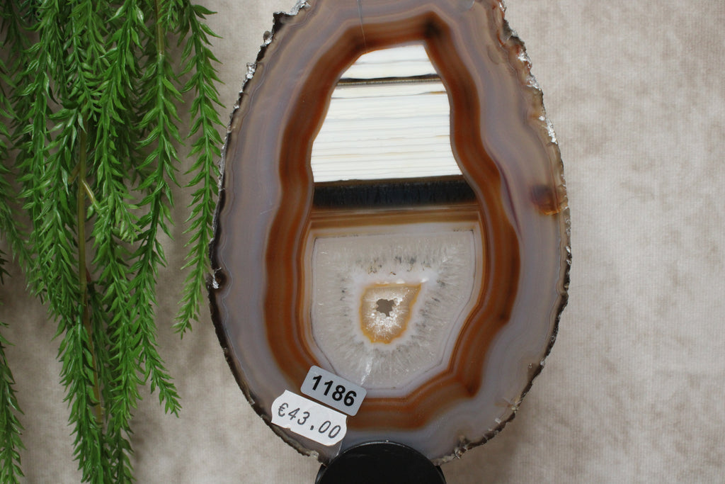 Agaat schijf #1186