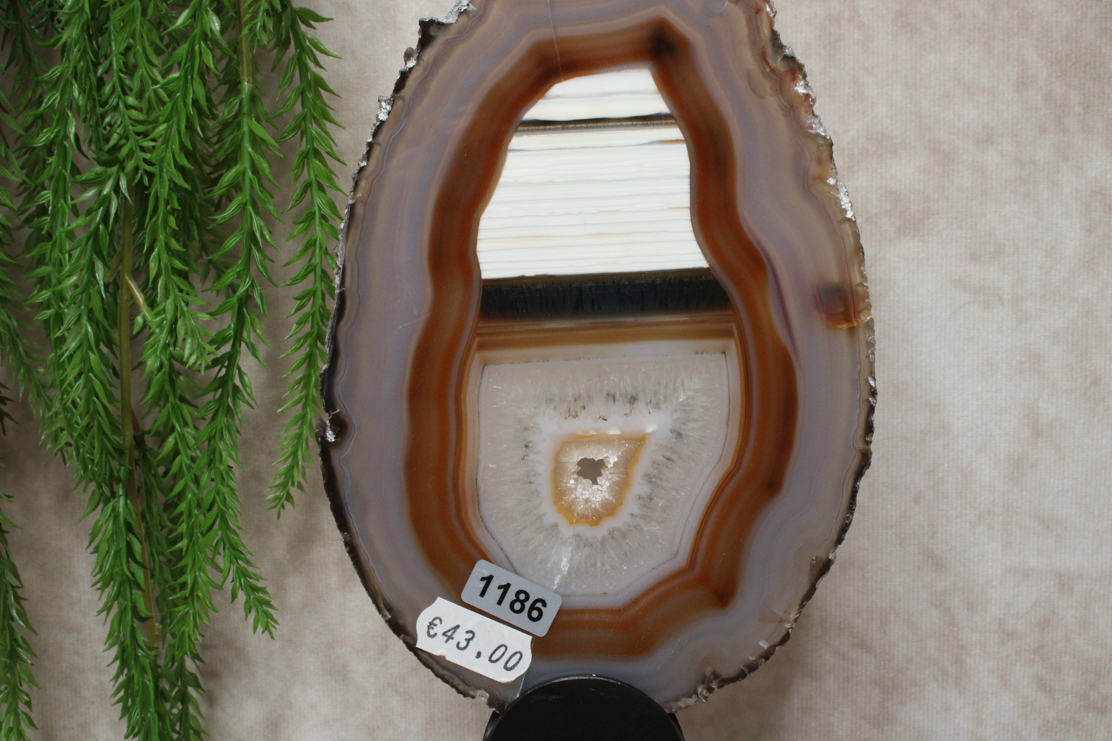 Agaat schijf #1186