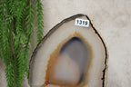 Agaat schijf #1319