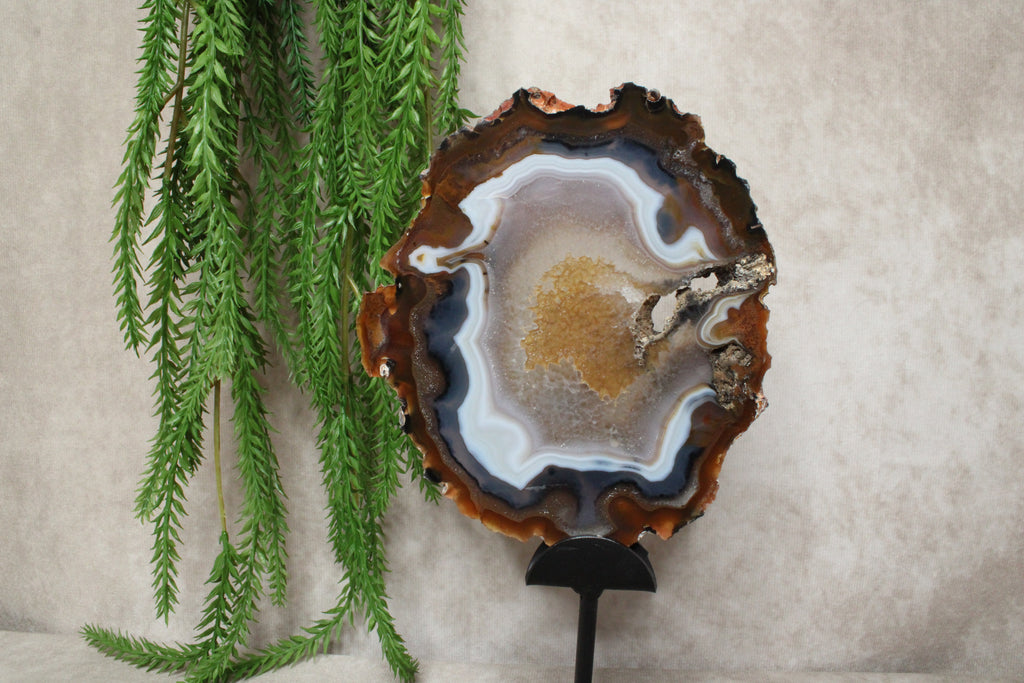 Agaat schijven set #1598