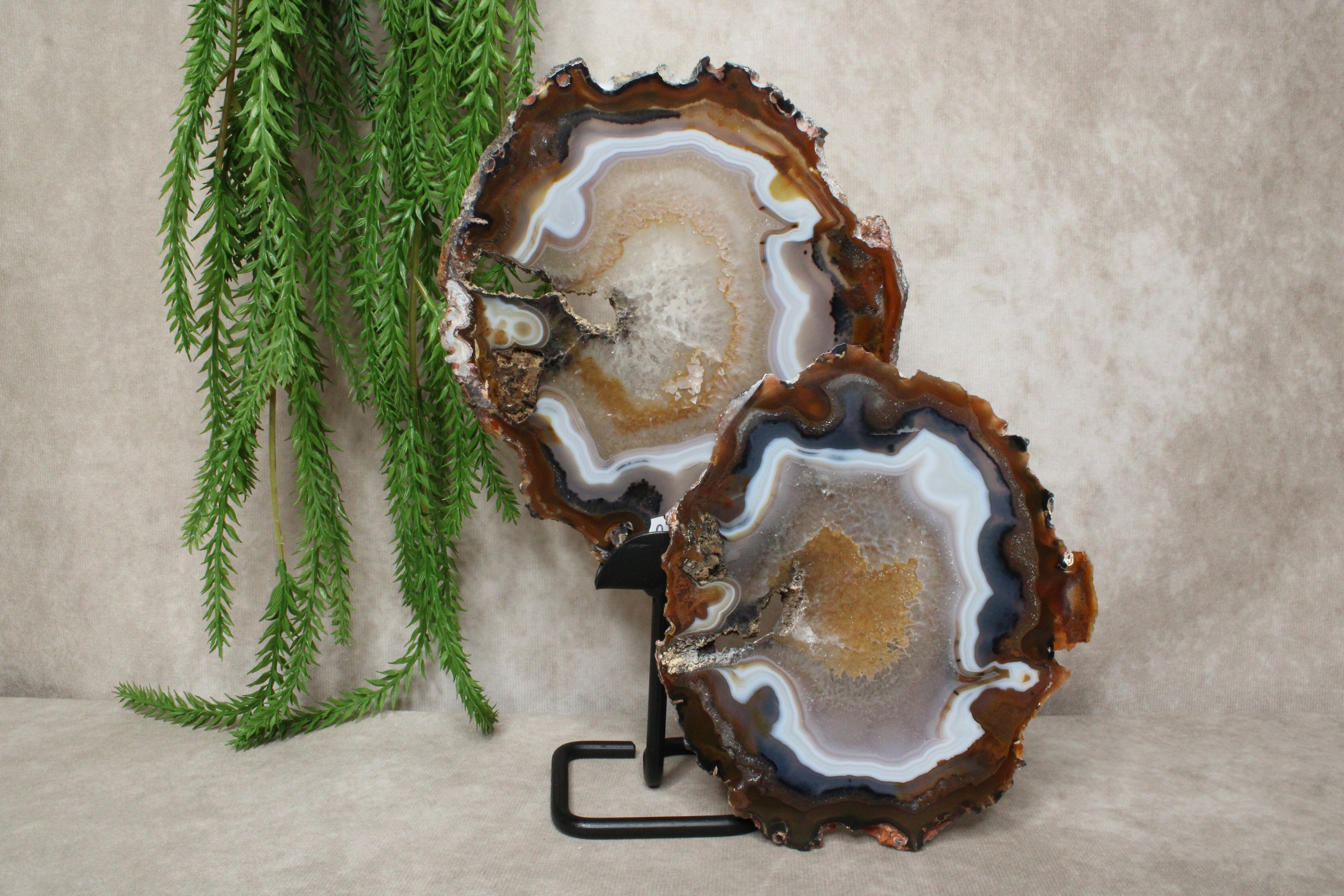 Agaat schijven set #1598