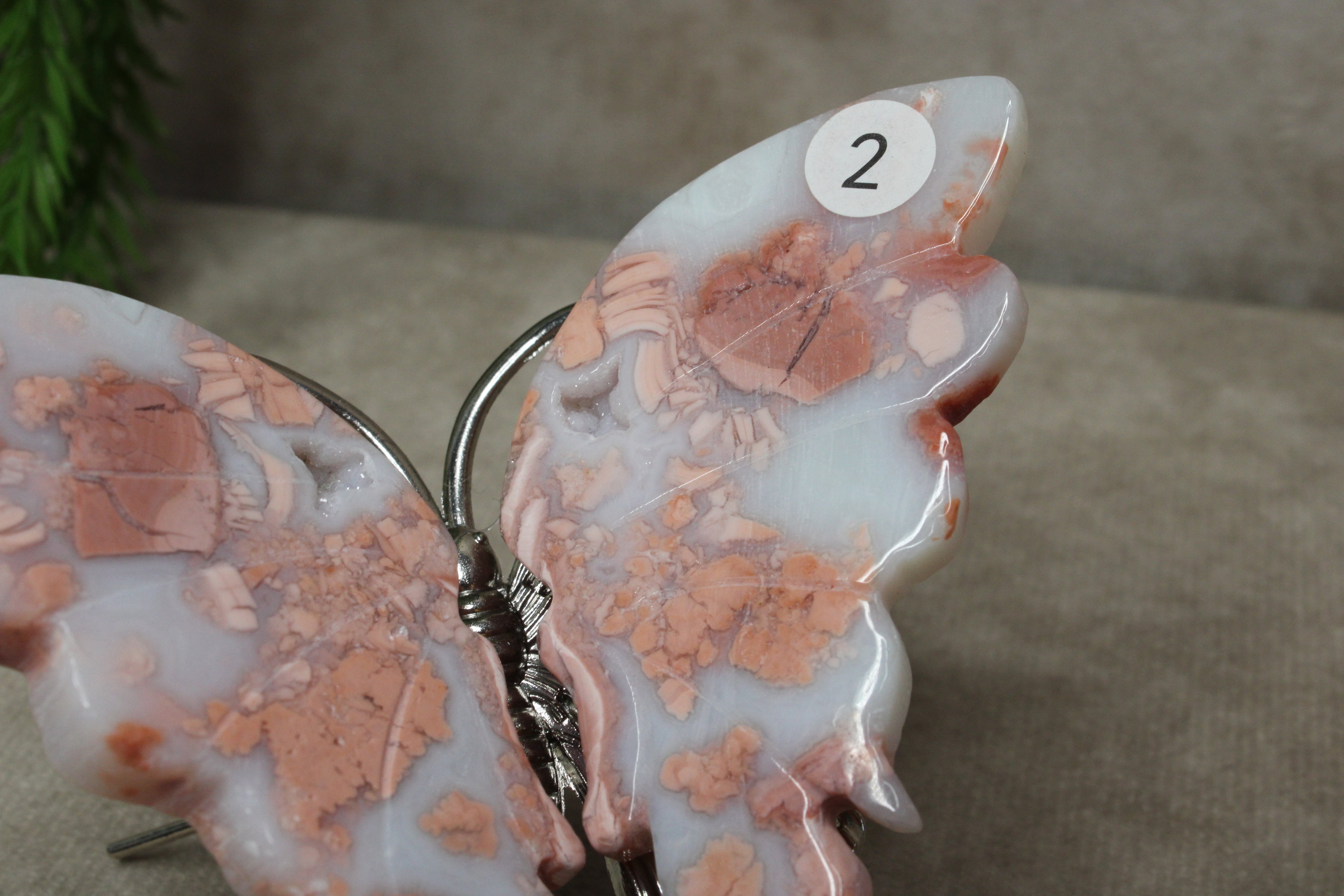 Roze agaat vlinder #2