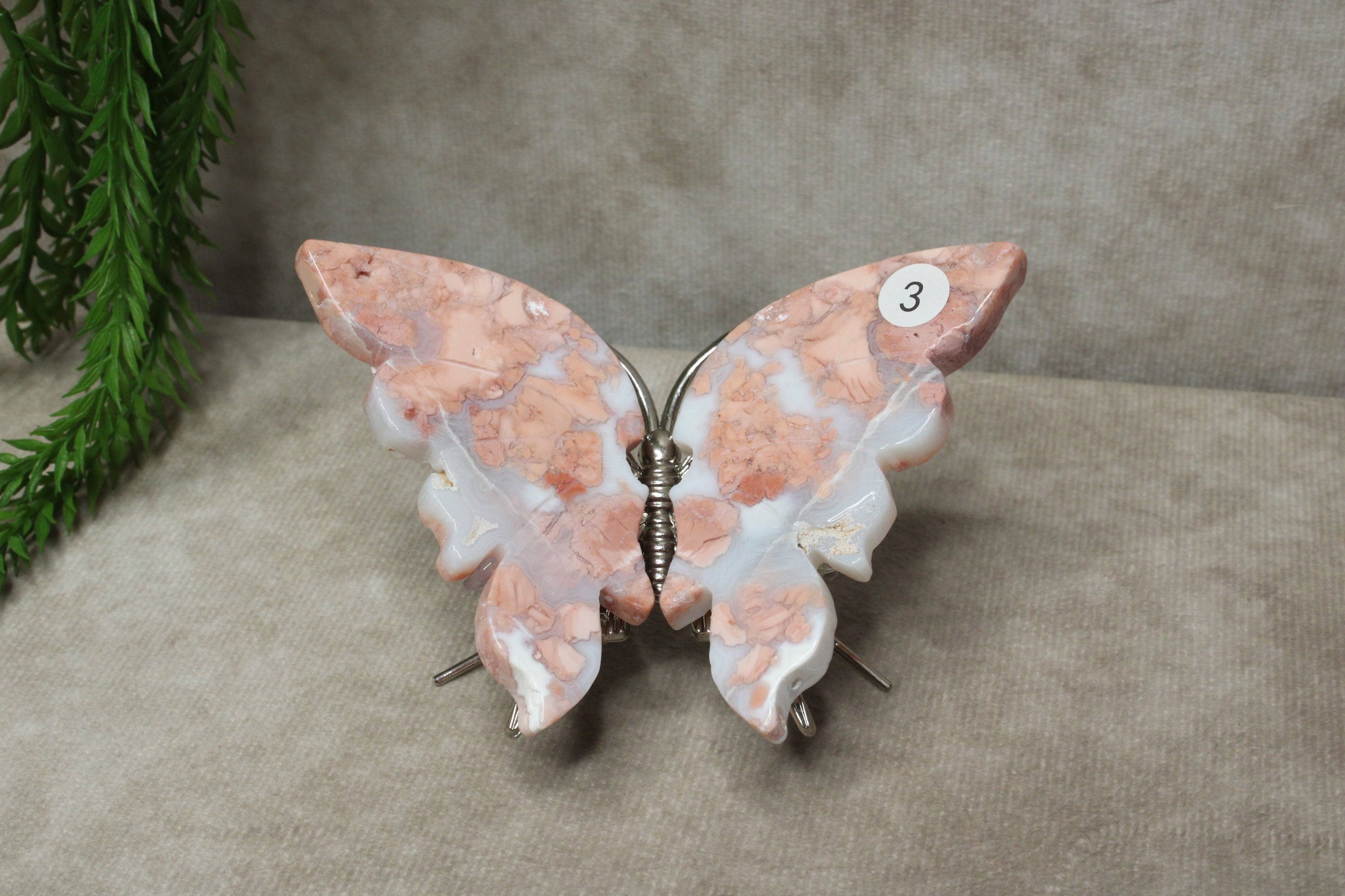 Roze agaat vlinder #3