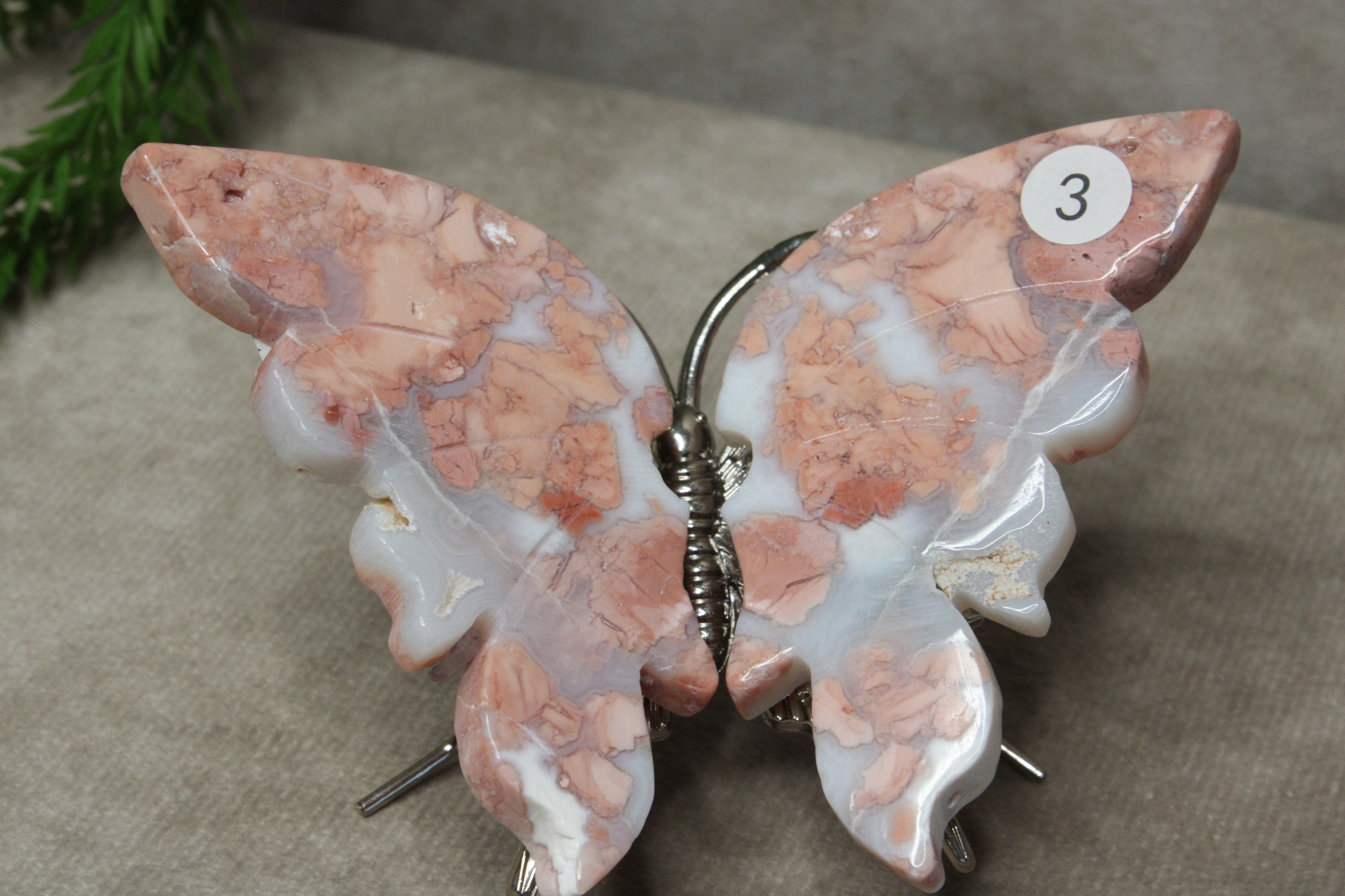 Roze agaat vlinder #3