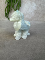 My littel pony