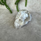 Scull bloemagaat AA+
