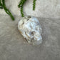 Scull bloemagaat AA+