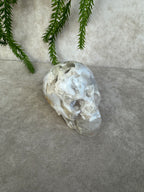 Scull bloemagaat AA+