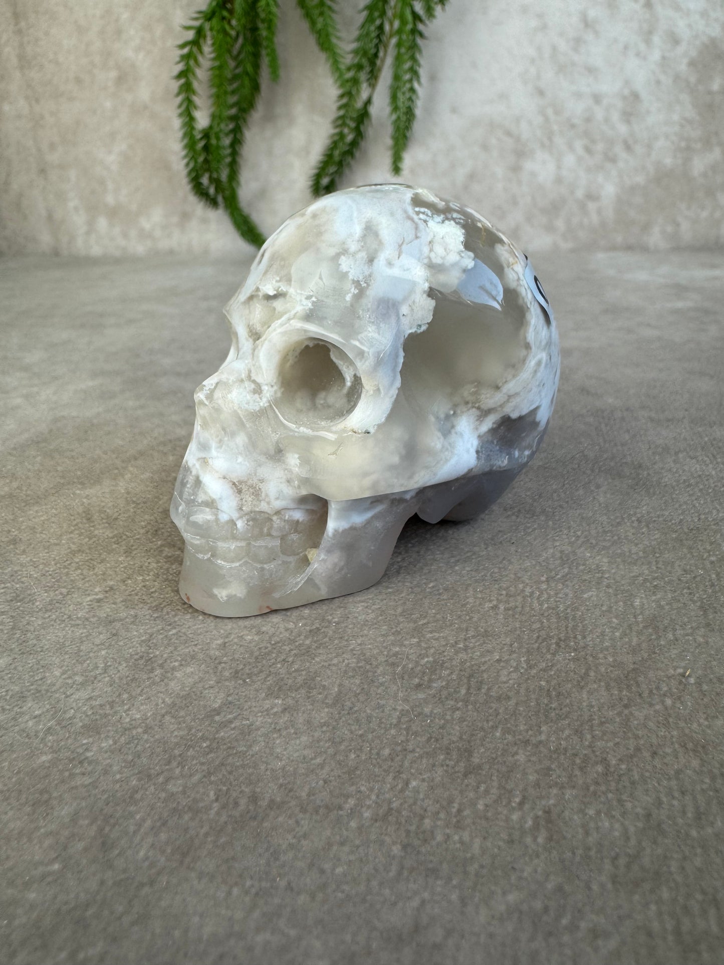 Scull bloemagaat AA+