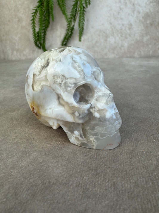 Scull bloemagaat AA+