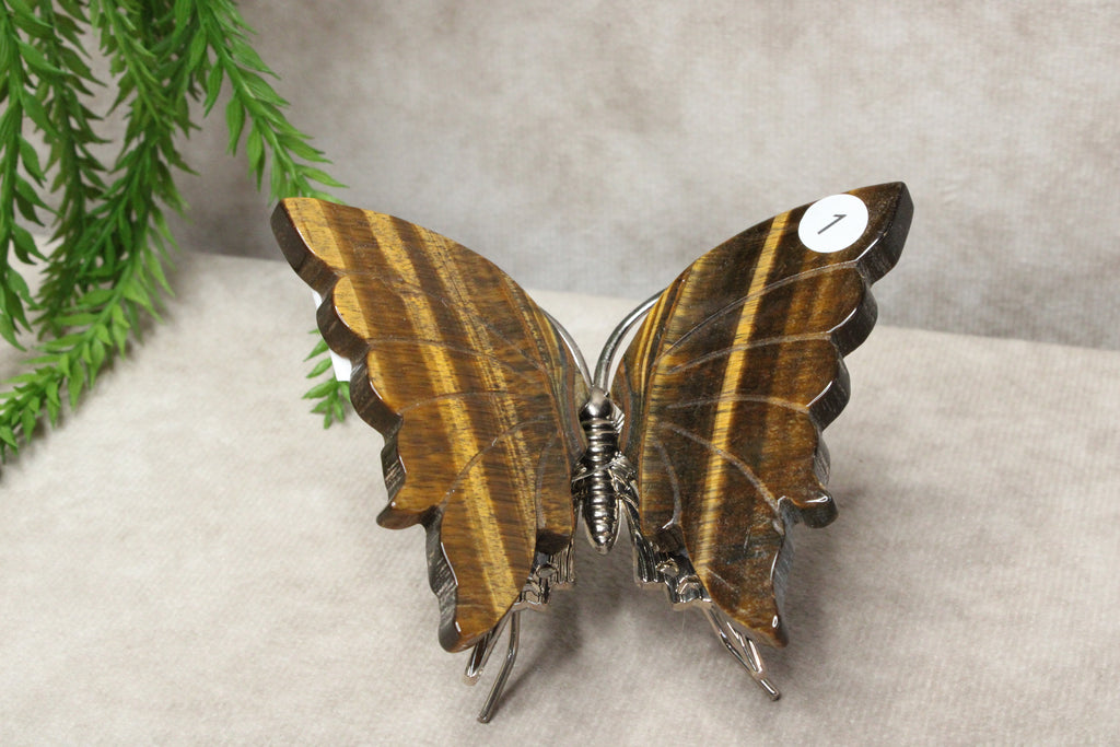 Tijgeroog vlinder #1