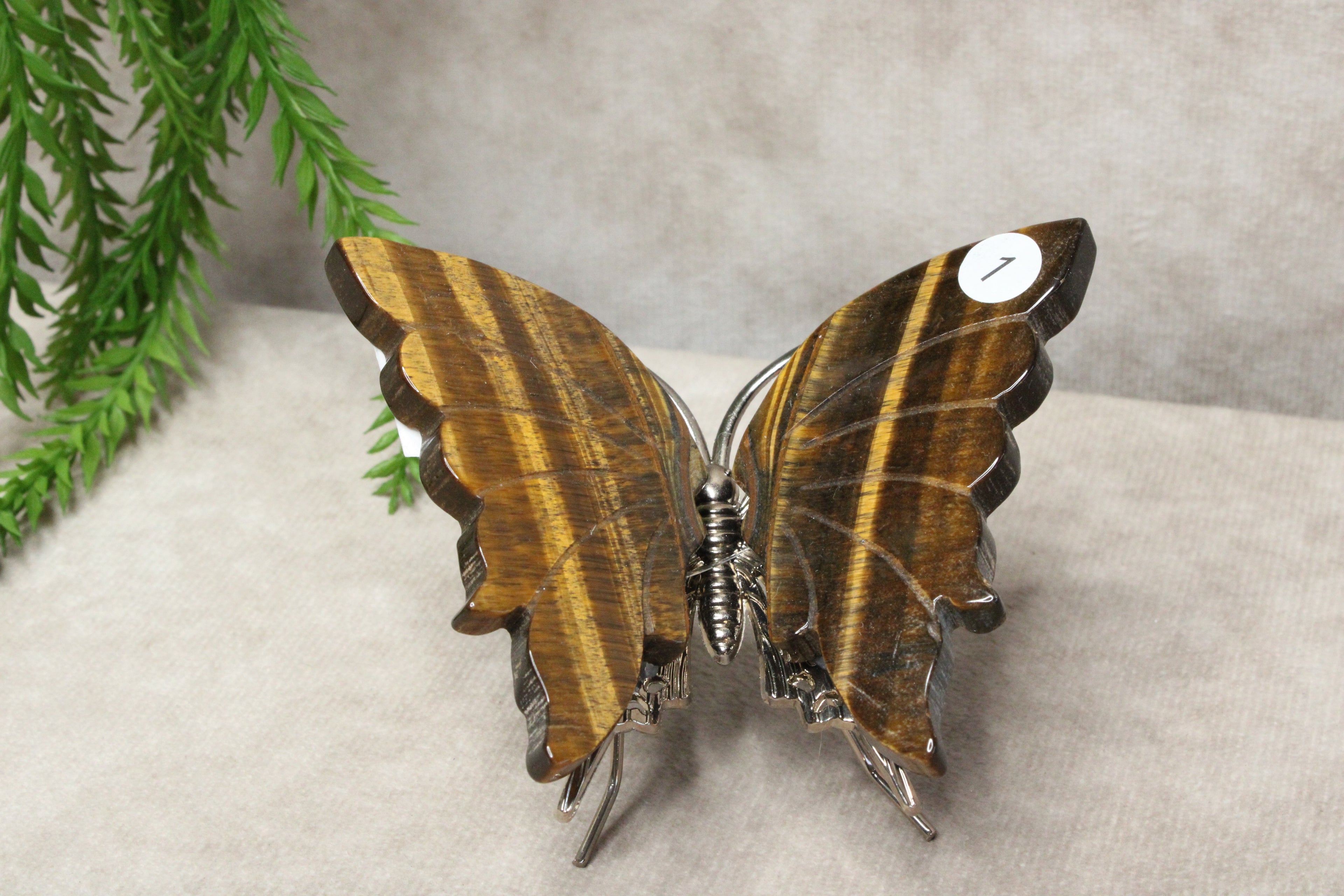 Tijgeroog vlinder #1