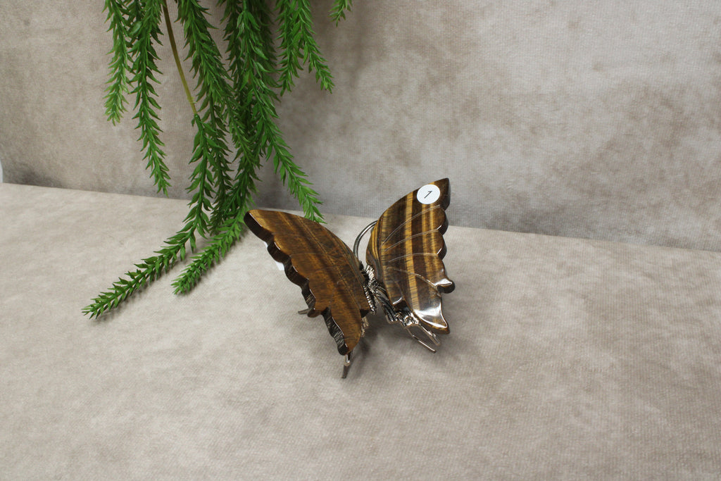 Tijgeroog vlinder #1