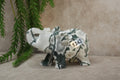 Mos agaat olifant #1343