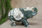 Mos agaat olifant #1343