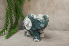 Mos agaat olifant #1343