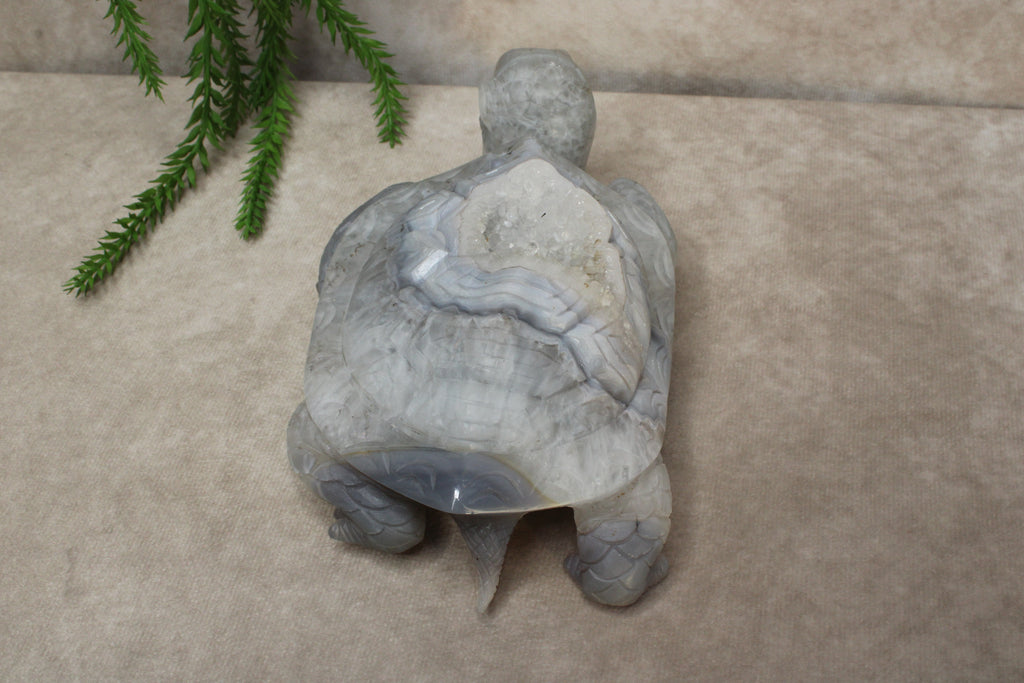 Xxl schildpad agaat