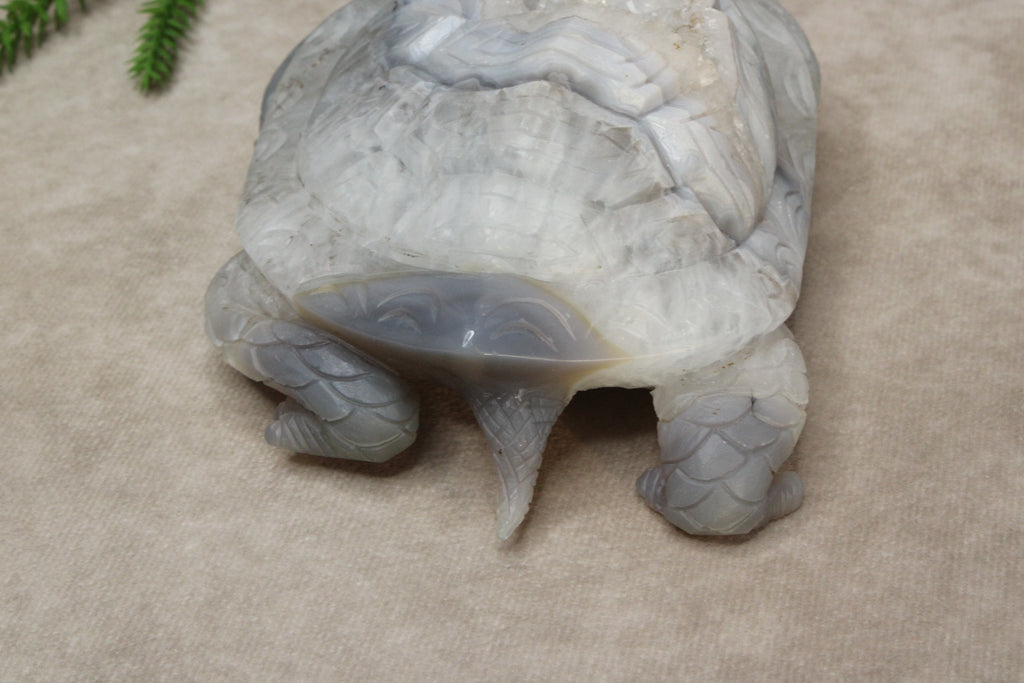 Xxl schildpad agaat