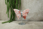 Roze agaat vlinder #1450