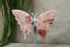 Roze agaat vlinder #1450