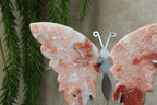 Roze agaat vlinder #1450